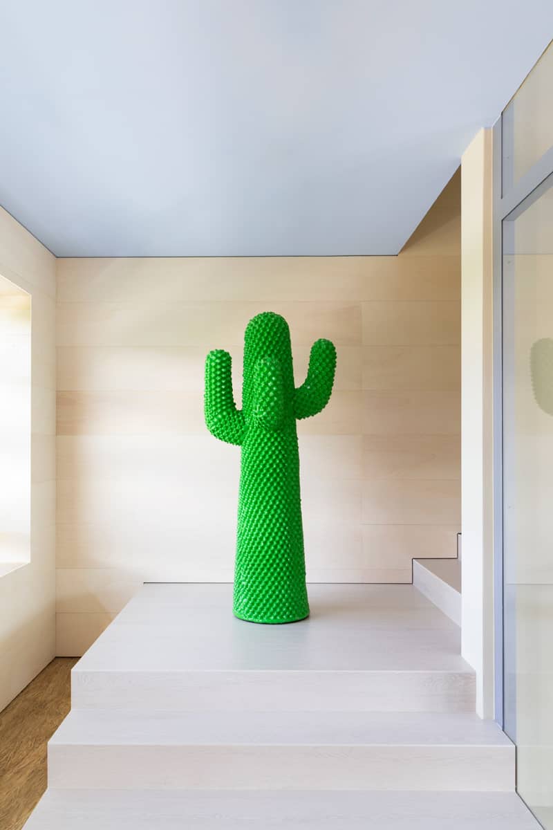 CACTUS
