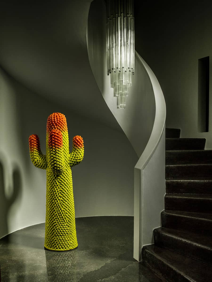 CACTUS
