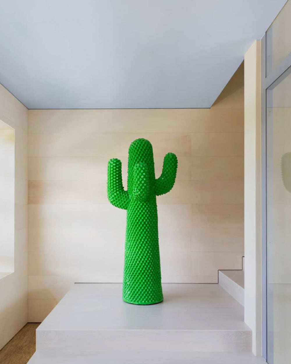 CACTUS