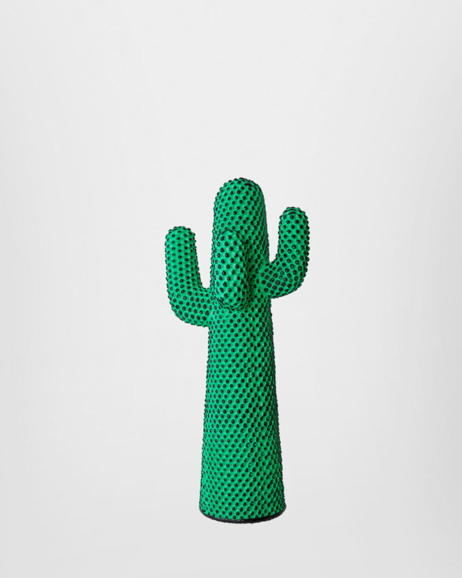 ANDY'S CACTUS