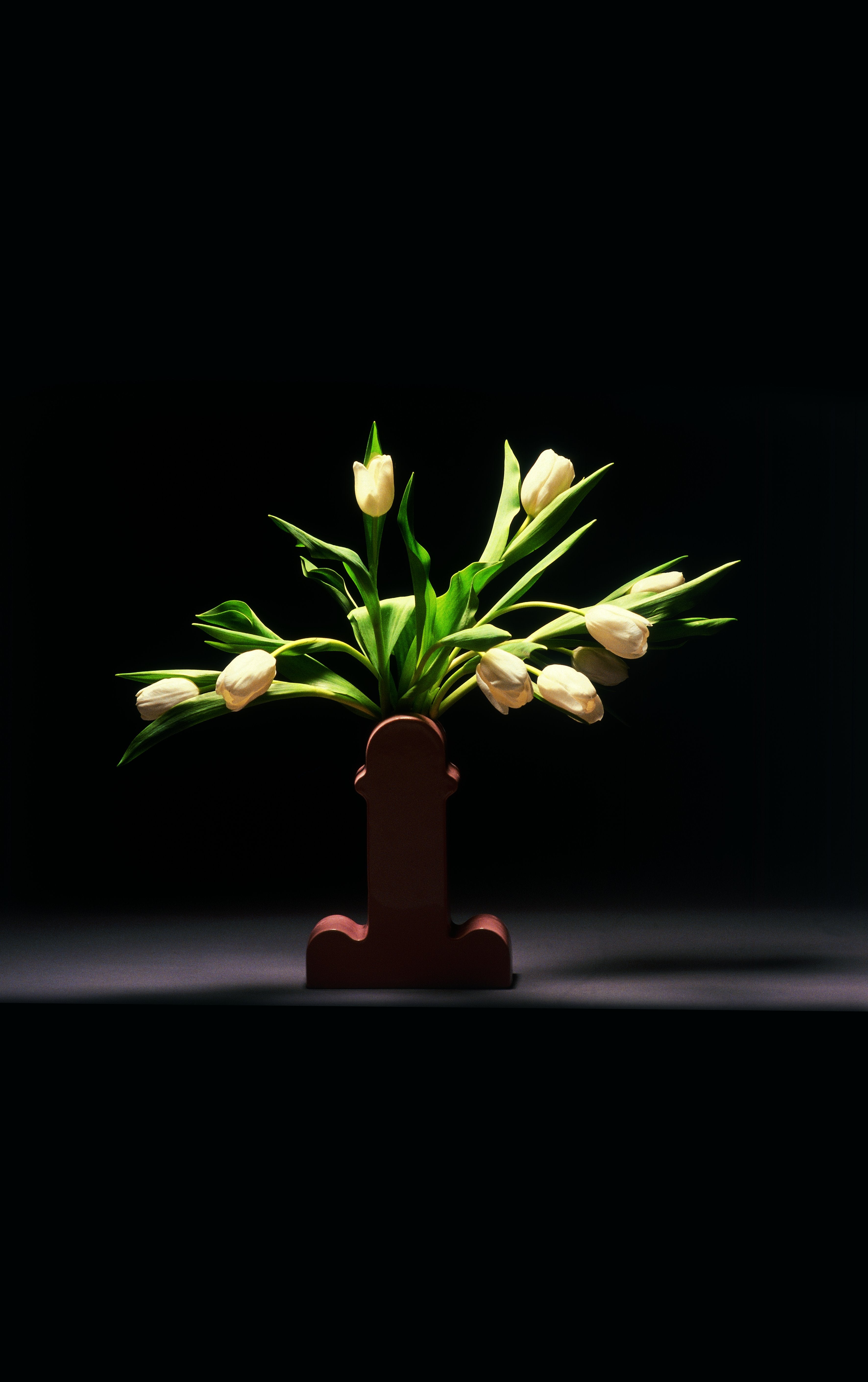 Florero_SHIVA_2_org_4480x.jpg? Florero_SHIVA_2_org_4480x.jpg?