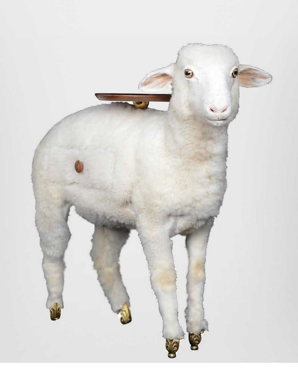 XAI